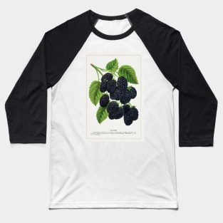 Snyder Blackberry Lithograph (1900) Baseball T-Shirt